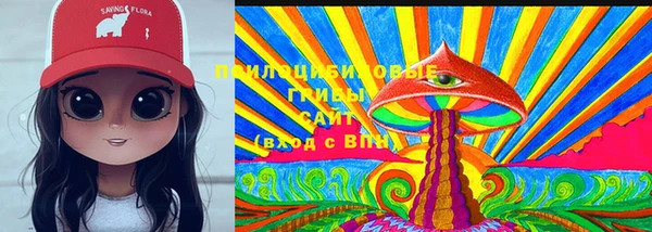 PSILOCYBIN Козловка