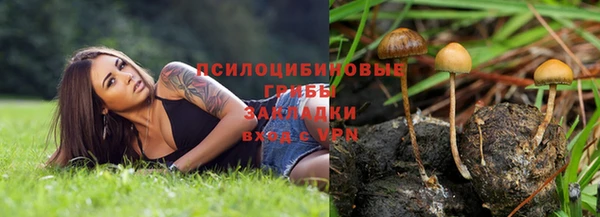 мдпв Нягань