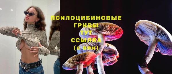 MDMA Нязепетровск